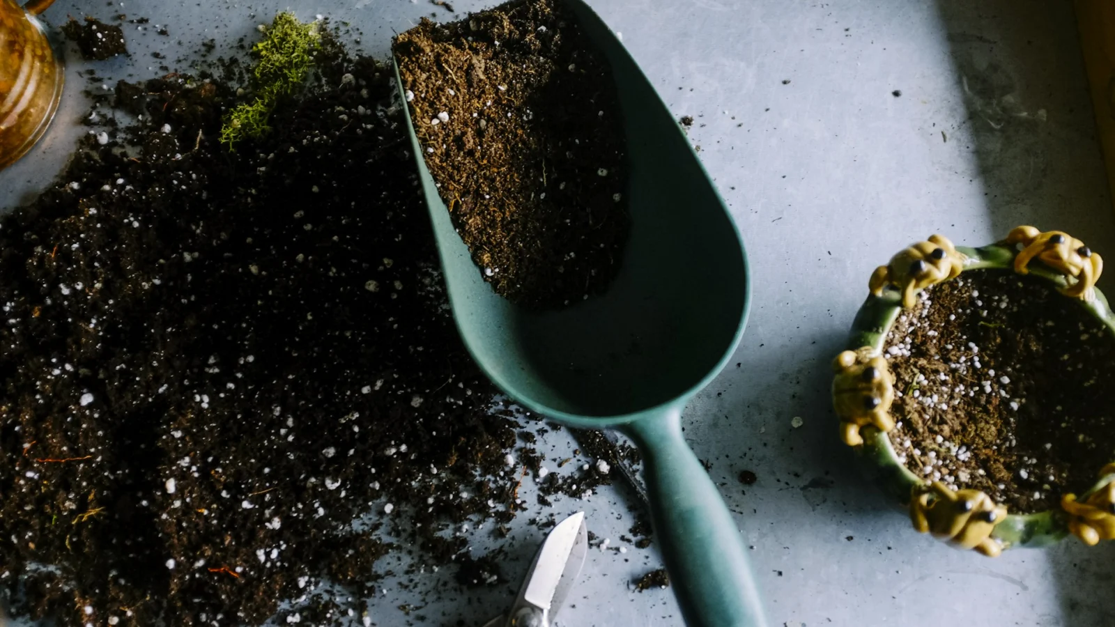 Garden trowel and fresh soil next to young plants