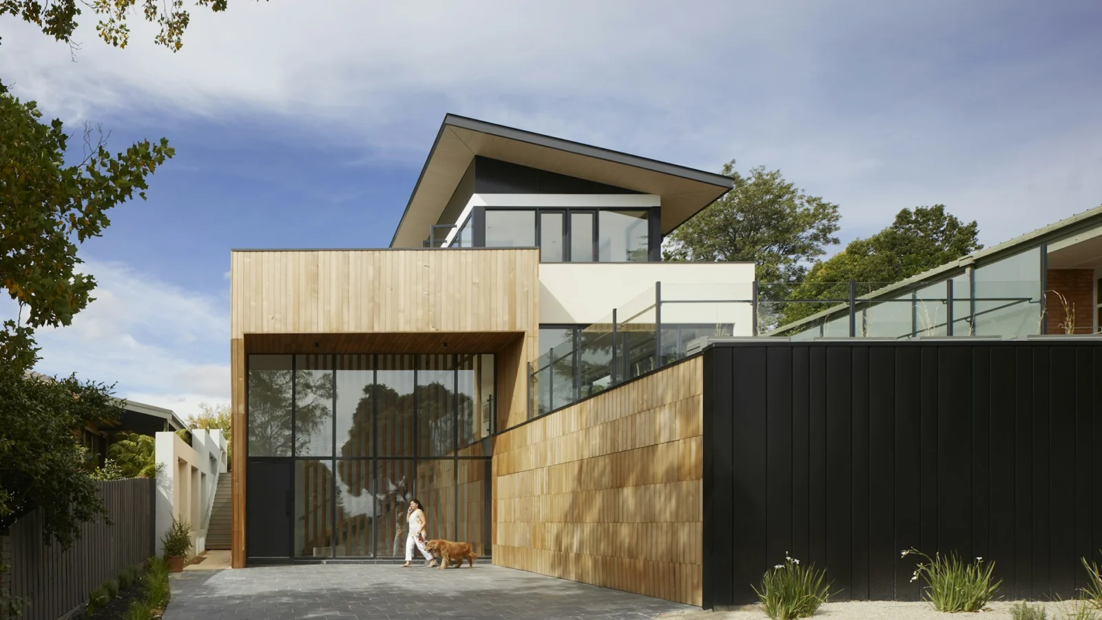 Modern timber-clad house with large windows
